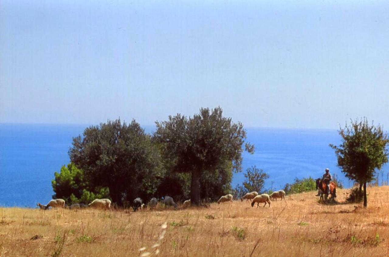 Grassetti Villa มอนเตจอร์ดาโน ภายนอก รูปภาพ