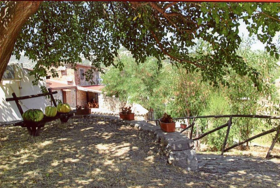 Grassetti Villa มอนเตจอร์ดาโน ภายนอก รูปภาพ